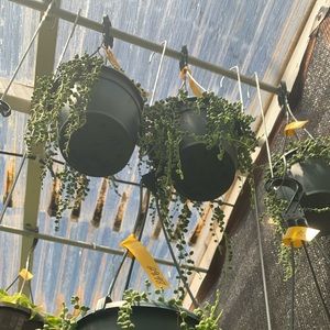 Meet your Posher, Avah